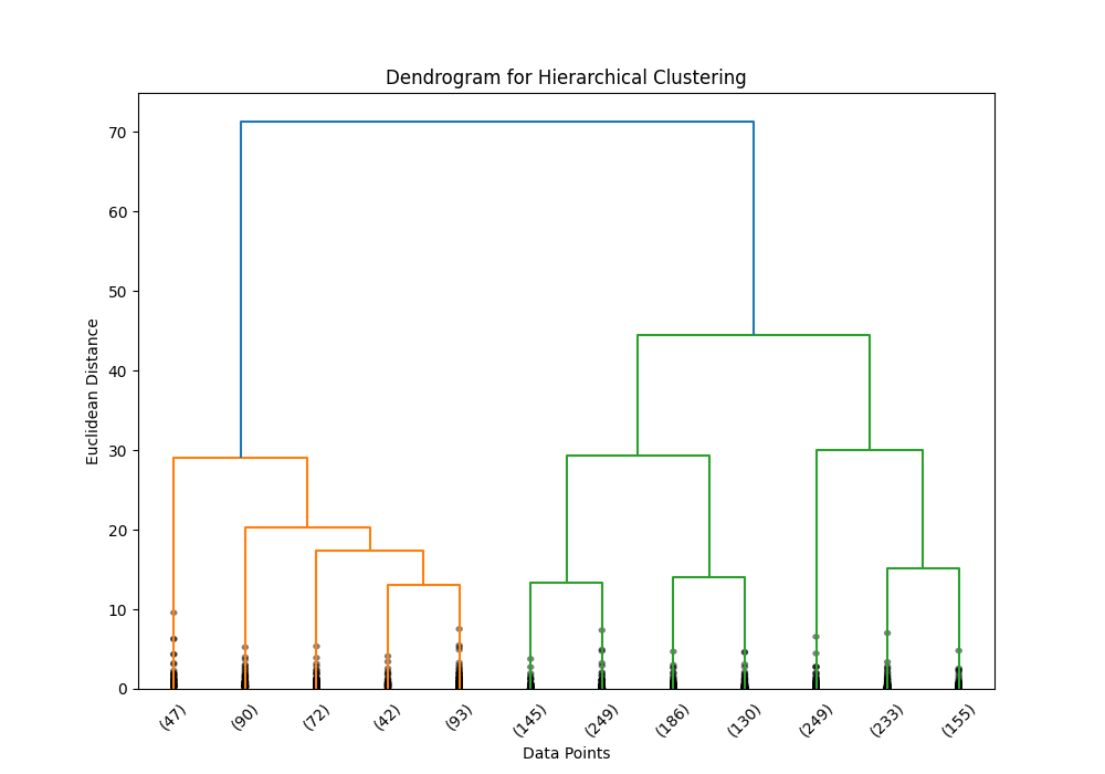 Dataset Variables Overview